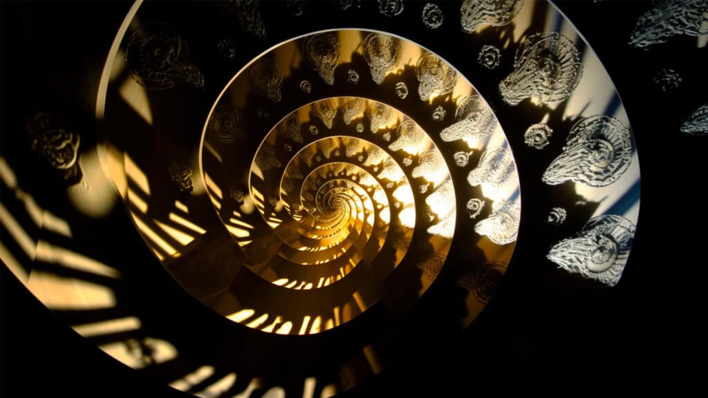 Shadows of Development