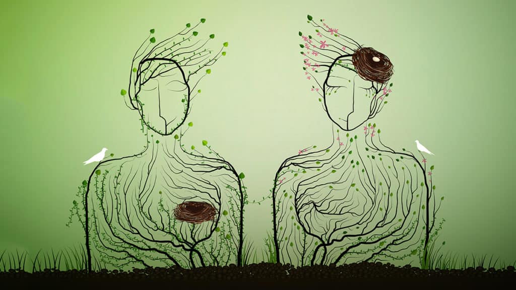 The Higher Stages of Couple Love