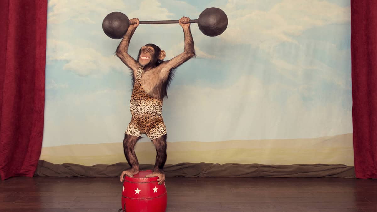 The Transpersonal Workout: Less Pain, More Gain