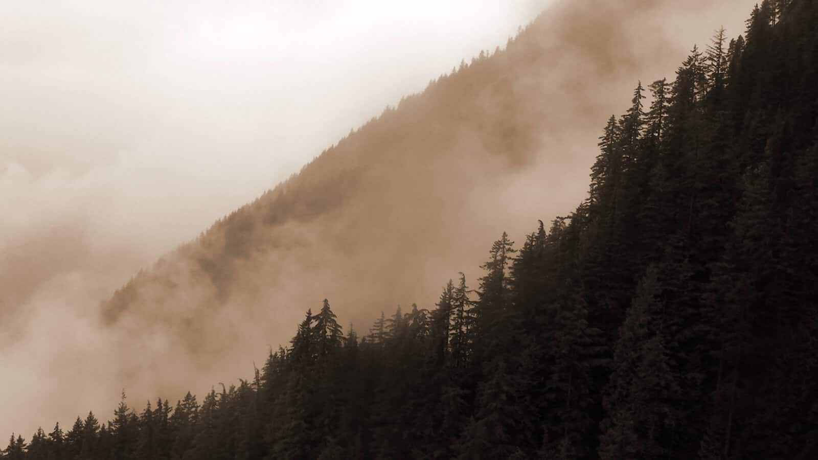 Poetry as a Transformational Practice