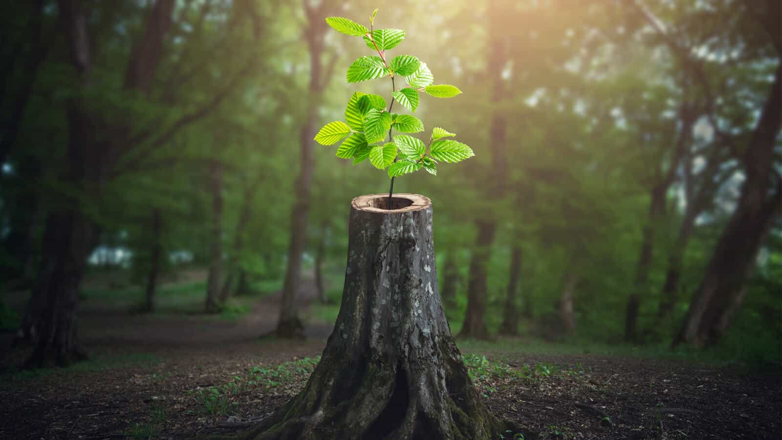 Facing Death: A Call to “Get Real”