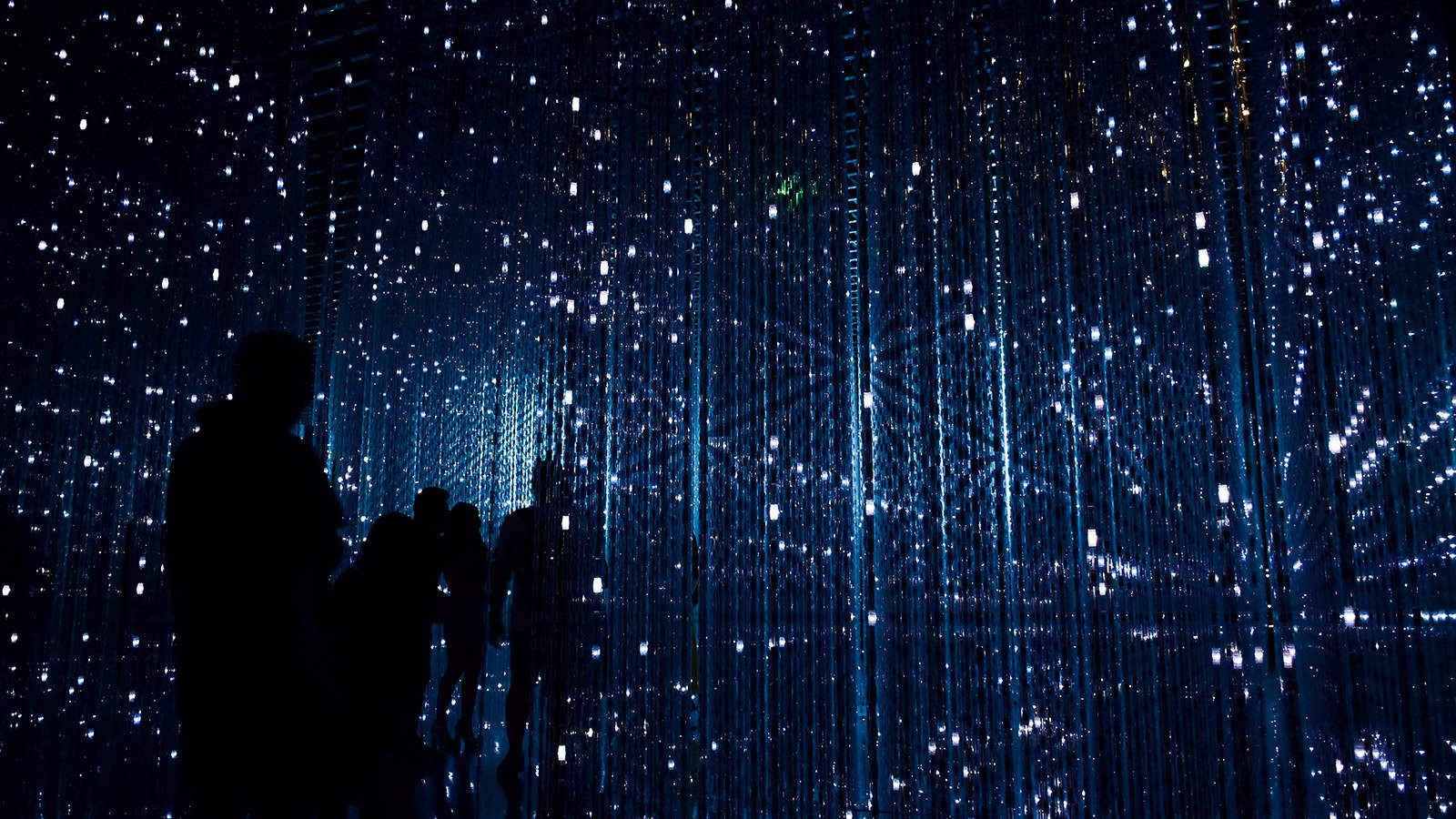 Polarization and the Algorithmic Undertow: Integral and Critical Realist Perspectives