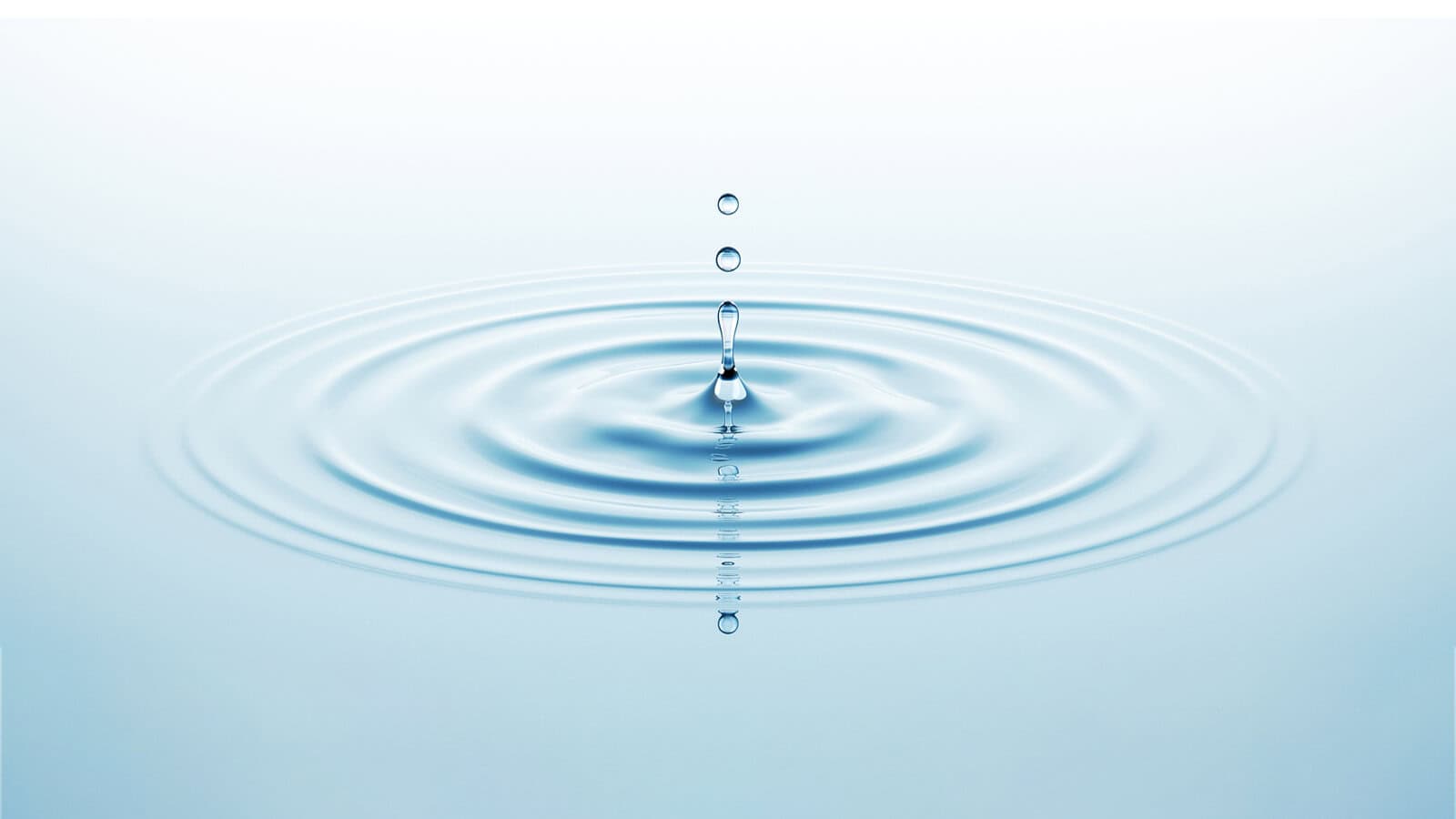 The Essence of Zen: One Heart, One Mind