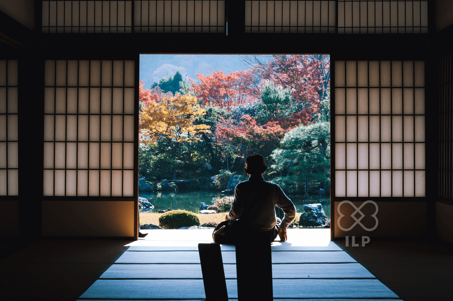 Welcome to the New Integral Life Practice Platform